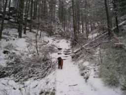 Resize of P1010301.JPG